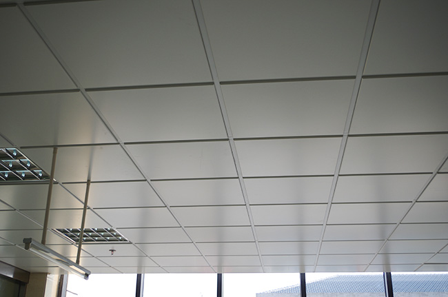 成都午夜小电影在线观看與資陽衛生院合作案例 成都午夜小电影在线观看與資陽衛生院合作案例